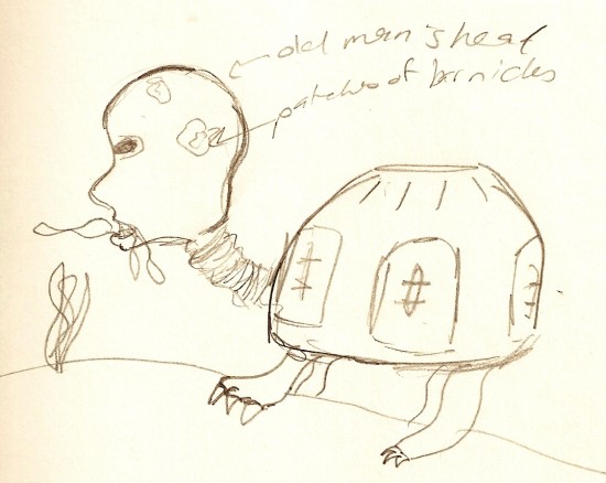 Turtle-ConceptSketch