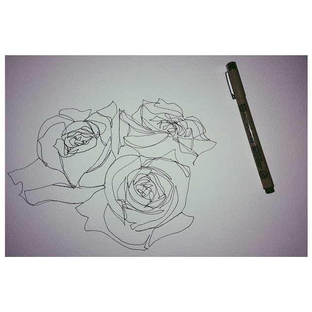 Drawing Flowers