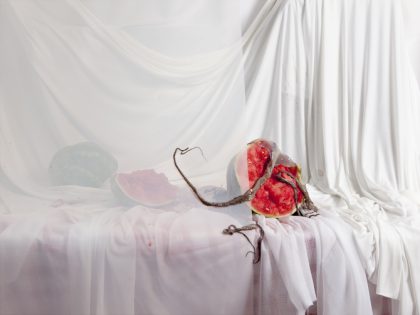 A photograph by Arden Surdam from Offal, solo exhibition at ABXY, New York, NY, June - August 2019