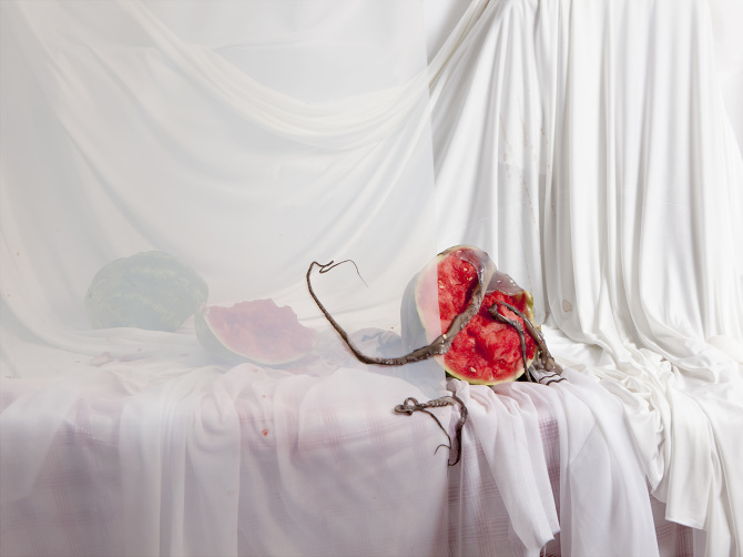 A photograph by Arden Surdam from Offal, solo exhibition at ABXY, New York, NY, June - August 2019